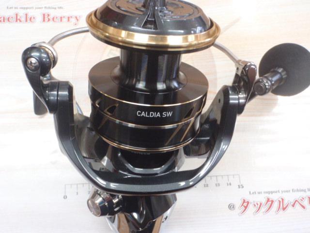 22カルディアSW 18000