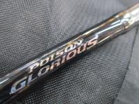 17ポイズングロリアス 168ML-LM