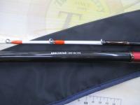 アナリスター ヤリイカ 195