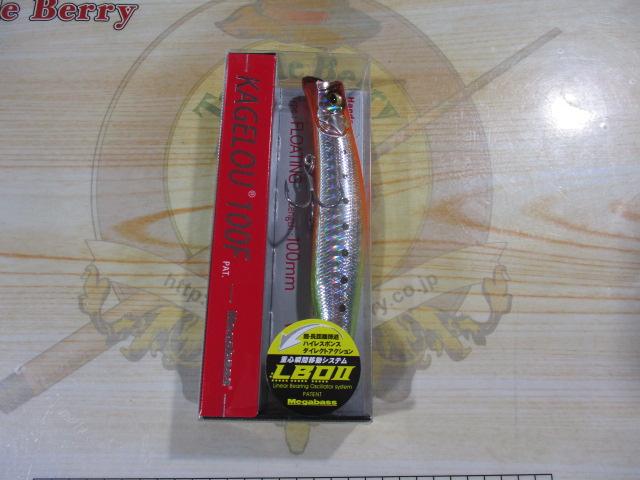 カゲロウ100FGGナイトライトイワシ