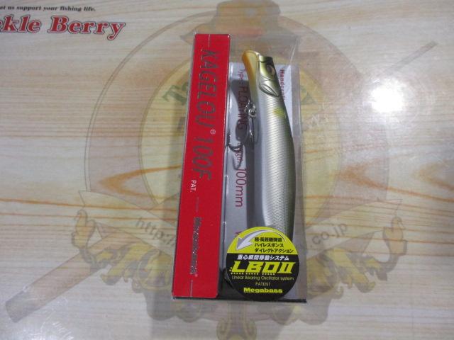 カゲロウ100F朧アユ