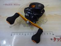 17バルケッタBB 300PGDH