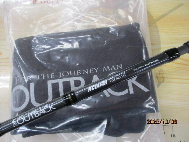 アウトバック NS604H