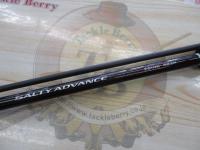 19ソルティーアドバンスエギング 83M