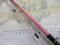 マニアスマルイカスペシャル 200