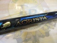 21アオリスタ M500SI