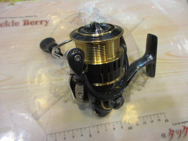 17セオリー 2508PE