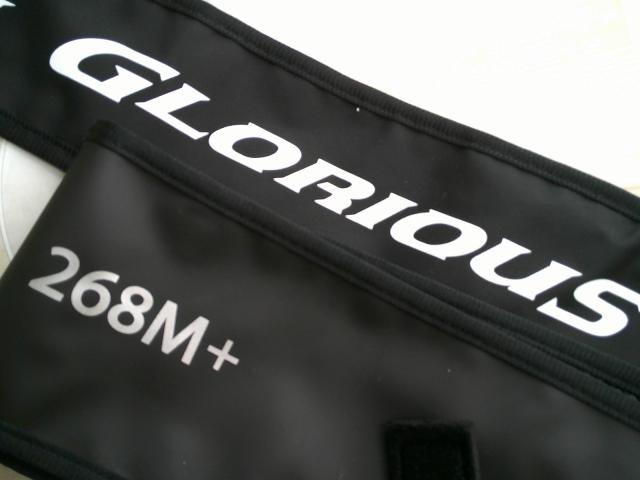 21ポイズングロリアス 268M+