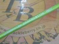 リーダーズエッジパラボライト180T