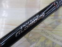 16ポイズングロリアス 1611MH