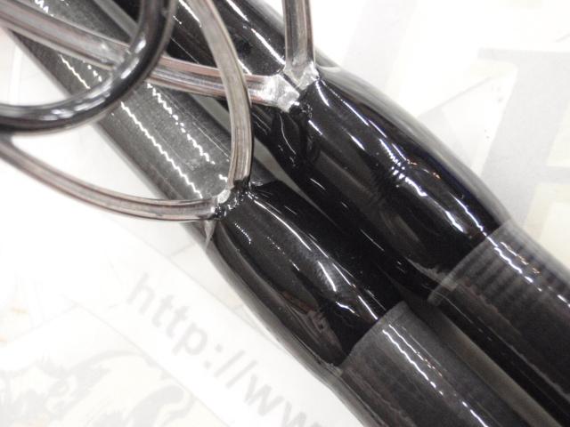 ケイソンギンセイTZ116H