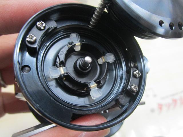 24カルカッタコンクエスト シャローエディション 31HG