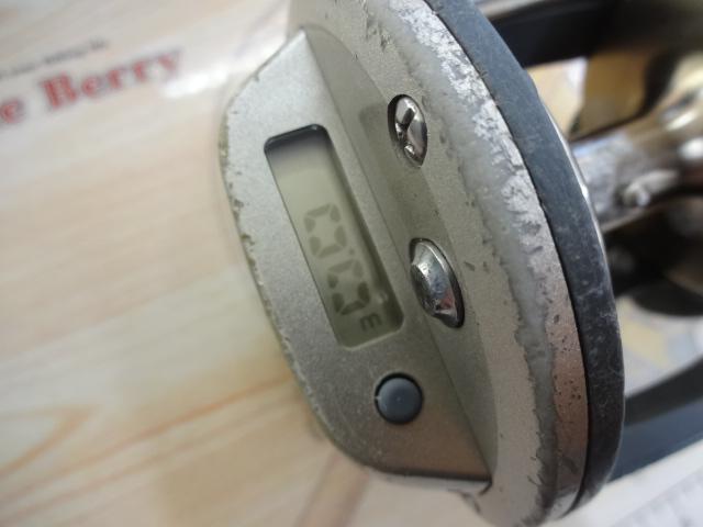 シーライン石鯛X 40H