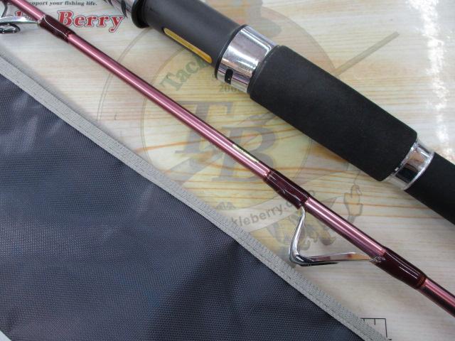 リーディング-X ネライ 210S