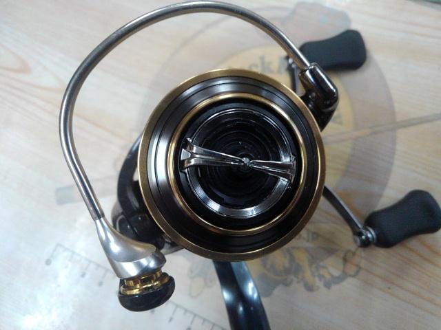 17セオリー 2508PE-DH