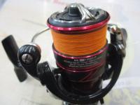 18月下美人MX LT1000S-P