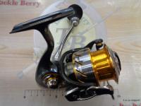 13セルテート 3012