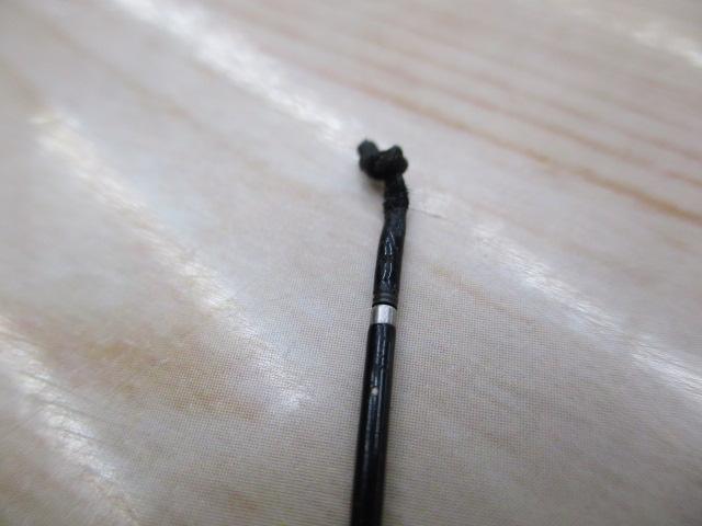 普天元 獅子吼 7