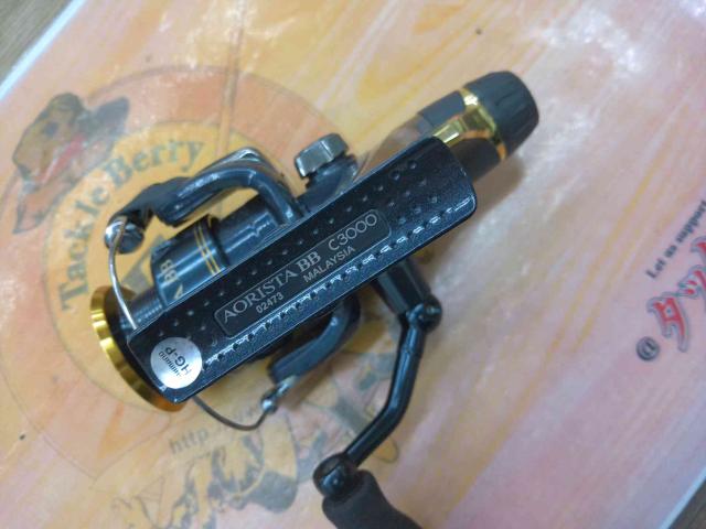 09アオリスタBB C3000