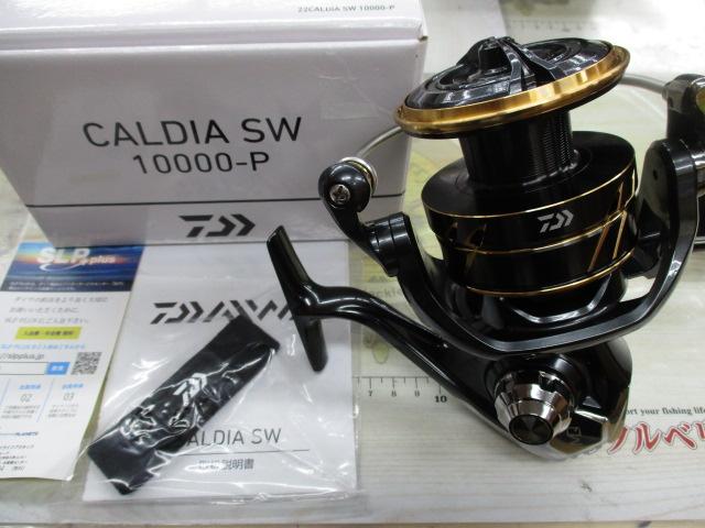 22カルディアSW 10000-P