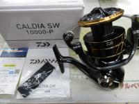 22カルディアSW 10000-P