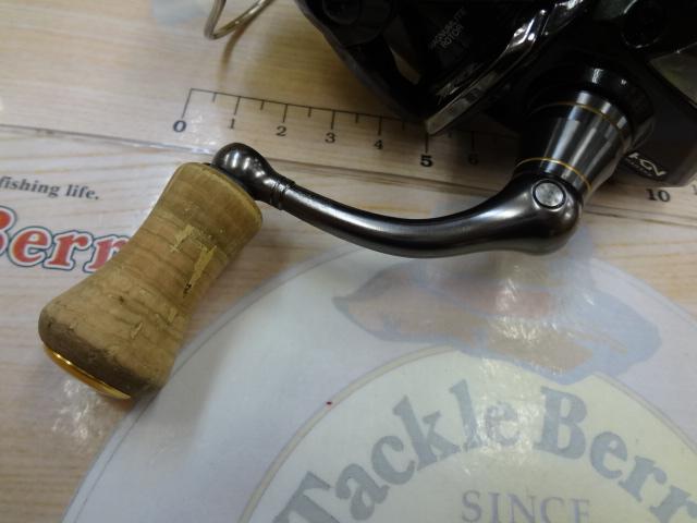 18カーディフCI4+ 1000SHG