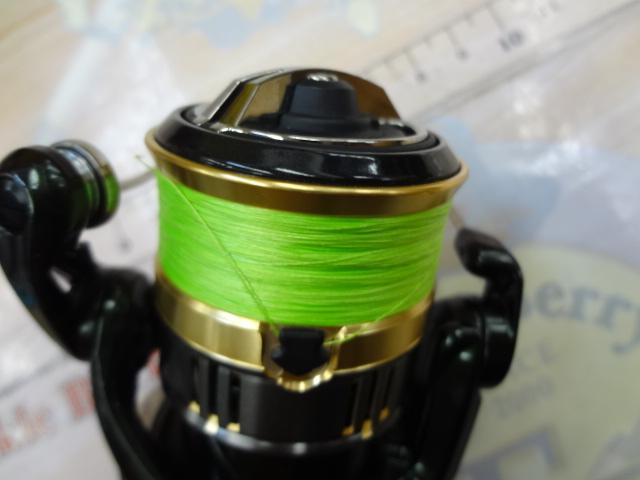 18カーディフCI4+ 1000SHG