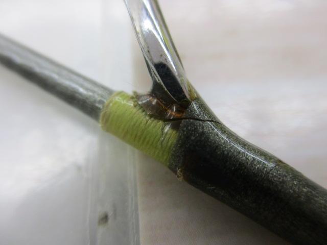 HZ剣崎シャクリ 210M｜＠ベリーネット 日本最大新品中古釣具WEB