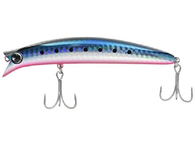 コモモⅡ#K211-108マコイワシ