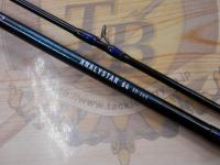 アナリスター 64 30-265