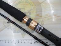 アナリスター ヤリイカ 175