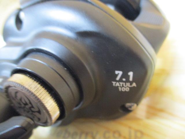 24タトゥーラ TW 100HL