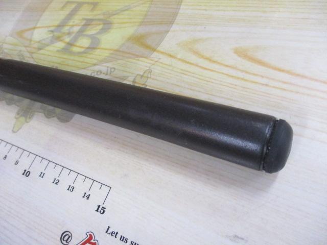 IHアペルトイソ 2-520 アオリイカ