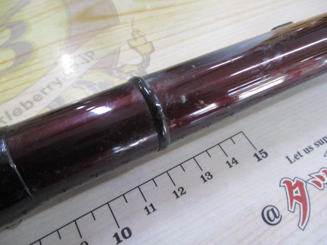 IHアペルトイソ 2-520 アオリイカ