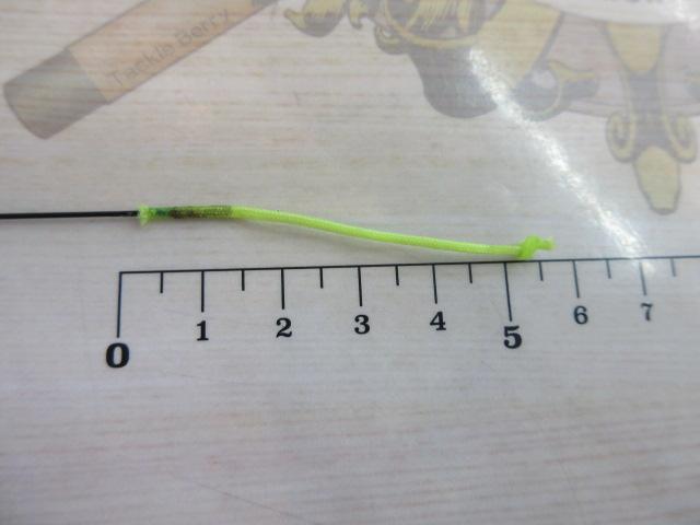 早春 中硬硬61MN