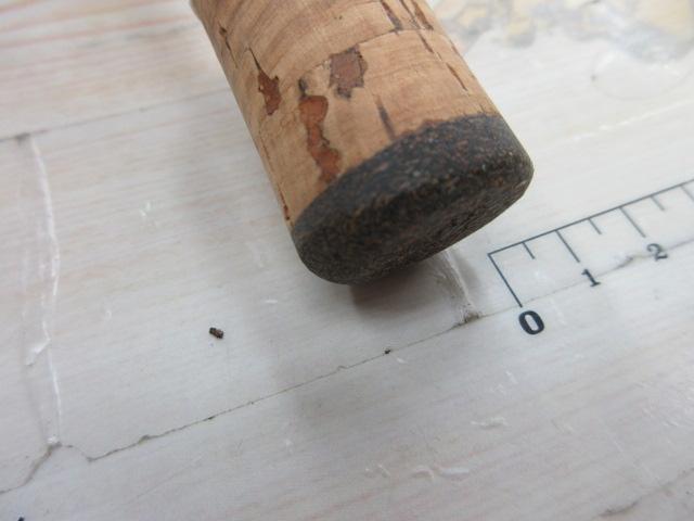 エゲリア ESSS-64UL