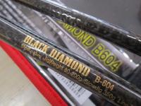 ブラックダイヤモンド B604