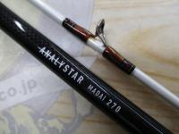 アナリスター 真鯛 270