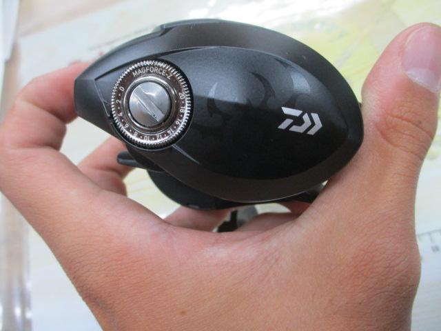 タトゥーラ TW 80