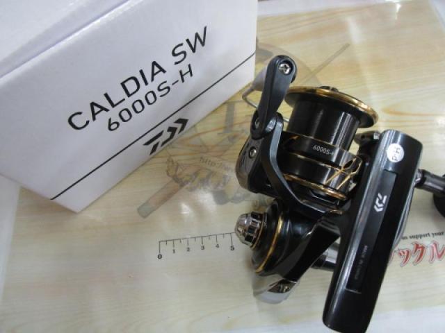 22カルディアSW 6000S-H