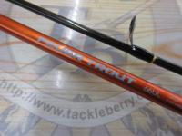 ファイエルトラウト66UL