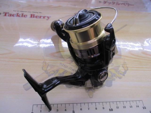 18カーディフCI4+ 1000S