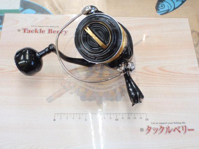 19ステラSW 8000PG