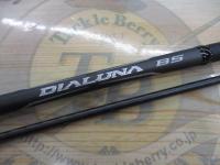 21ディアルーナBS S66ML