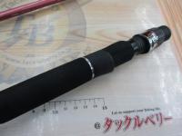 リーディング-X マダイ 300