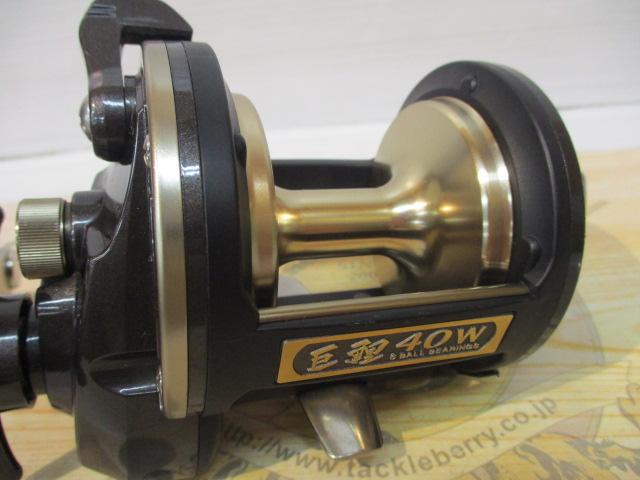 巨鯉 40W