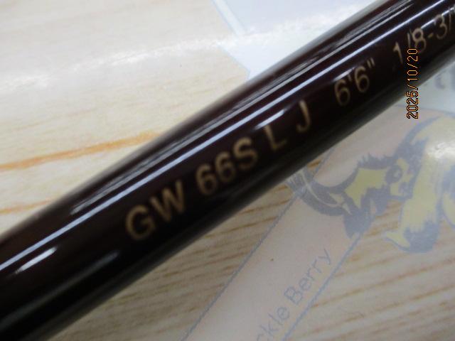 ゴールデンウィング GW66SLJ