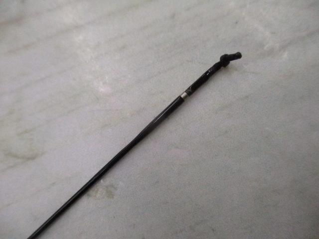 普天元 獅子吼 7