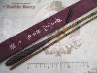 普天元 獅子吼 7