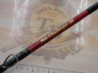 シーチャレンジャー